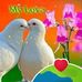 Marcelus Wedely Black - Facebook