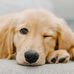 Briser Marcelle - Facebook