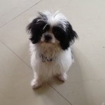 Marcellus - @marcellusgordon - Instagram