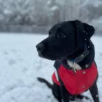Marcellus Howell - Facebook