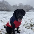 Marcellus Howell - Facebook