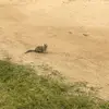 marcellus.4 - @marcellus.4 - TikTok