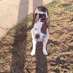 Marcellus Walker - @marcellus.walker.96 - Instagram