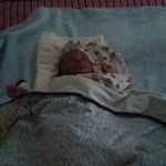 Marcellus Williams - @marcellus6208 - Instagram