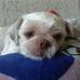 Marcelo Abreu - Facebook