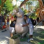 Marcelo Abreu - @marcelo_antonio_de_abreu - Instagram