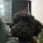 Marcelo Adan - @marcelo.adan.391 - Instagram