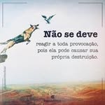 Marcelo Dantas - @marceloadantas - Instagram