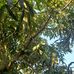 Marcelo Aviles - Facebook