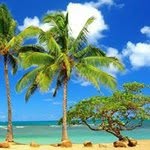 Marcelo Bahena - @bahenamarcelo - Instagram