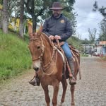 Marcelo Bernardo - @mb_marcelobernardo - Instagram
