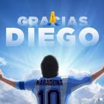 Marcelo Bertoldi - @_marcelo.bertoldi - Instagram