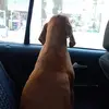 toto Marcelo Bertoldi - @toto.marcelo.bert - TikTok