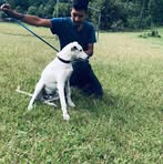 Marcelo Buenrostro - Facebook