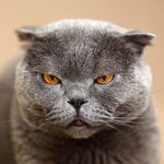 MARCELO CACCIOLATO - @marcelo_cacciolato - Instagram
