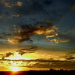 Marcelo Canepa - @marcelo.canepa - Instagram