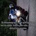 Marcelo Cano - Facebook