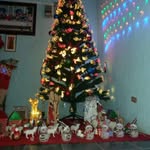 Marcelo Cano - @marcelo.cano.391420 - Instagram