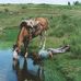 Agro Imagen Marcelo Cattani - Facebook