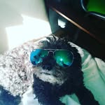 marcelo - @marcelo_chango_mas - Instagram