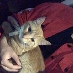 Marcelo C - @marcelo___chen - Instagram