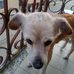 Marcella Chimenti - Facebook