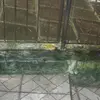 sapo sapão - @marcelo.didone - TikTok