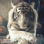 marcelo Ebrard - @edwin.hernandez.925059 - Instagram