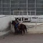 Marcelo Estrella - @marceloestrella62 - Instagram