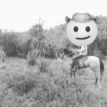 Marcelo Estrella - @marcelo.estrella.1272 - Instagram