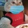 Marcelo_gil_es - @marcelo_giles - TikTok