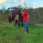 Renato Marcelo Giles - @gilesrenatomarcelo - Instagram