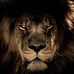 Marcelo Mena - Facebook