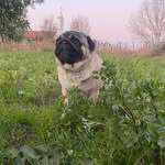 Marcelo Monroy - @monroy_marcelo_ - Instagram