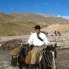 Marcelo Moretti - @marcelo.moretti0 - TikTok