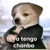 Marcelo Peredo - @marceloperedo12 - TikTok
