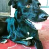 Marcelo Peredo - @marceloperedo716 - TikTok