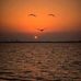 Marcelo Pereyra - Facebook