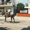 marcelopiriz19 - @marcelopiriz19 - TikTok