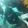 marcelopuebla920 - @marcelopuebla920 - TikTok