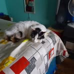 Marcelo Tobar - Facebook