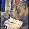 Marcelo Vargas - @2bitchesnabaker - TikTok