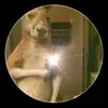 Marcelo Videla - @marcelo.videla83 - TikTok