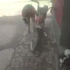 Marcelo Videla - @marcelo.videla19 - TikTok