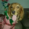 Marcelo vivanco - @mvivanco - TikTok
