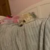 🐶puppy🐶 - @wilson.march - TikTok
