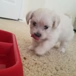 Marche Meeks - @marche_meeks_ - Instagram