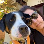 Lynne Marchese - @lynne.morris.marchese - Instagram
