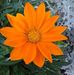Marchelle Smith - Facebook