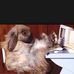 Marci Abbott - Facebook